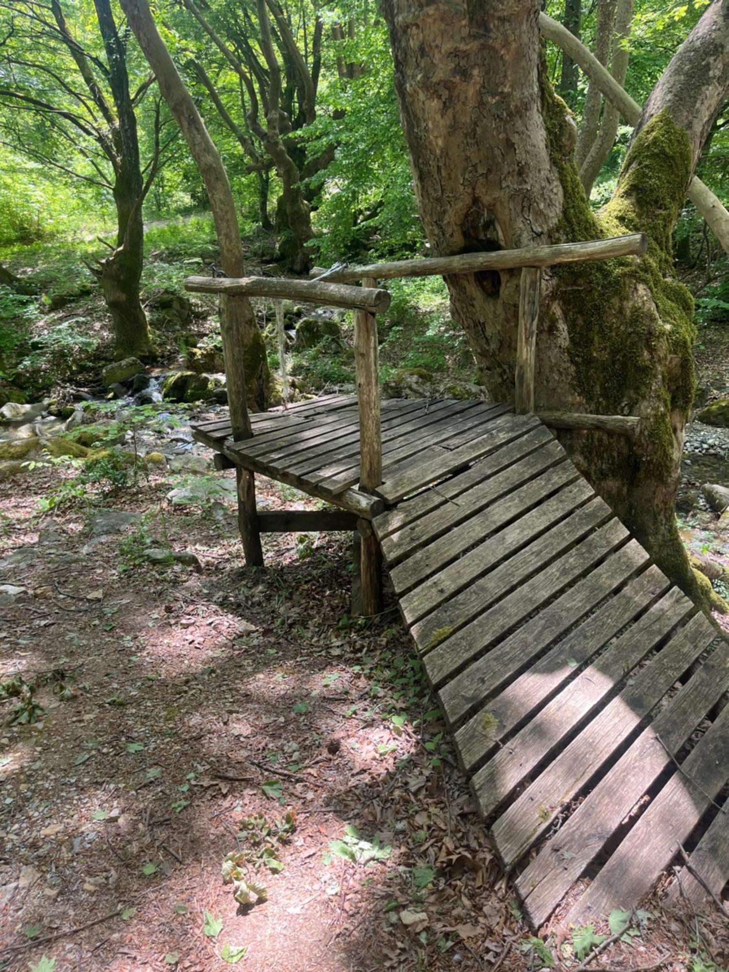 Elatovillage Elatohóri Kültér fotó