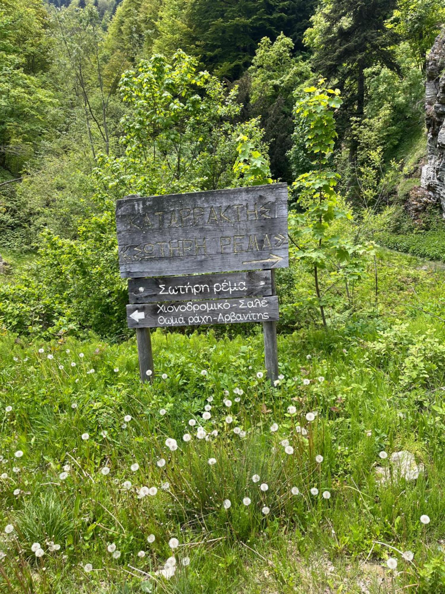Elatovillage Elatohóri Kültér fotó
