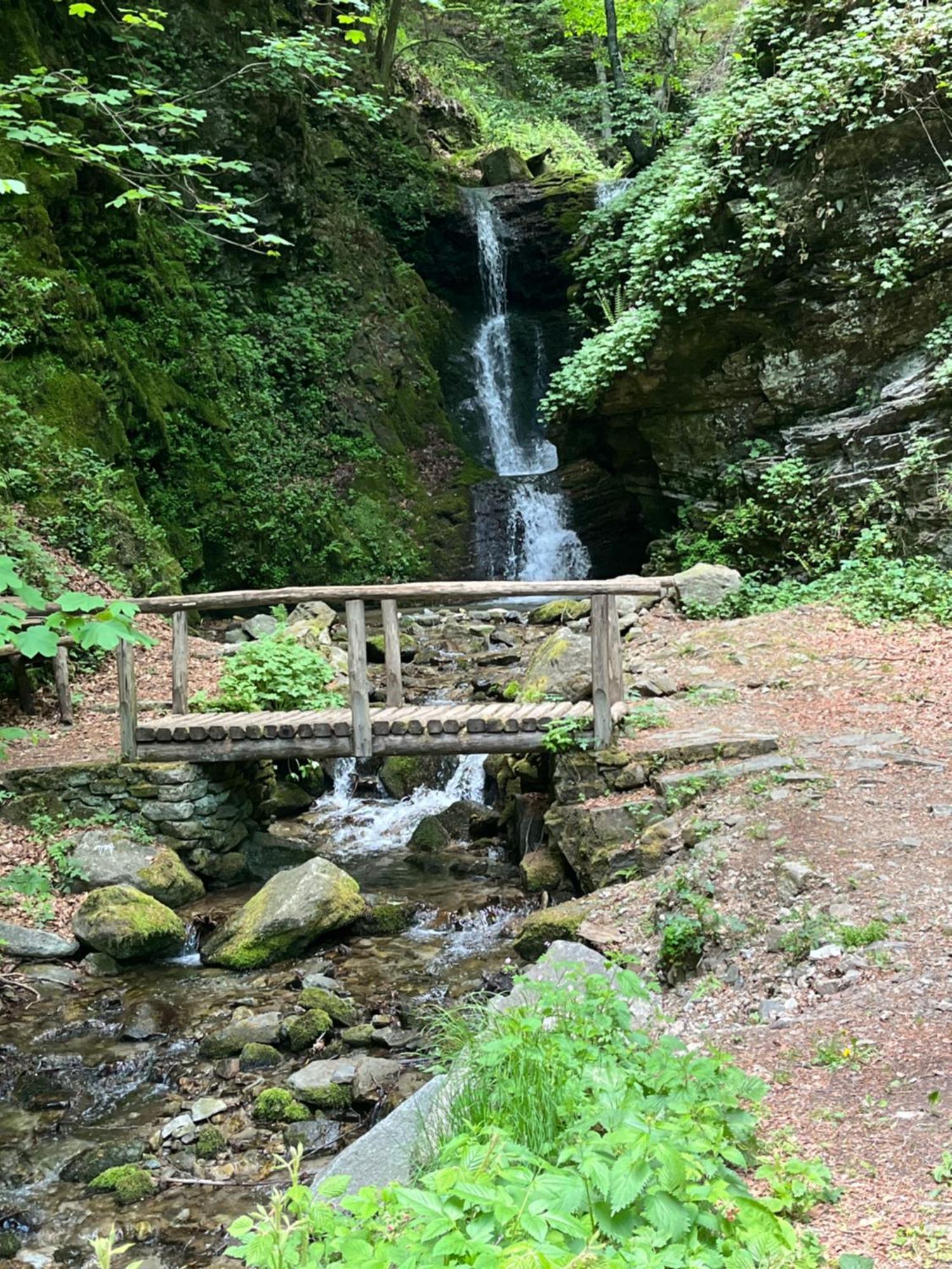 Elatovillage Elatohóri Kültér fotó