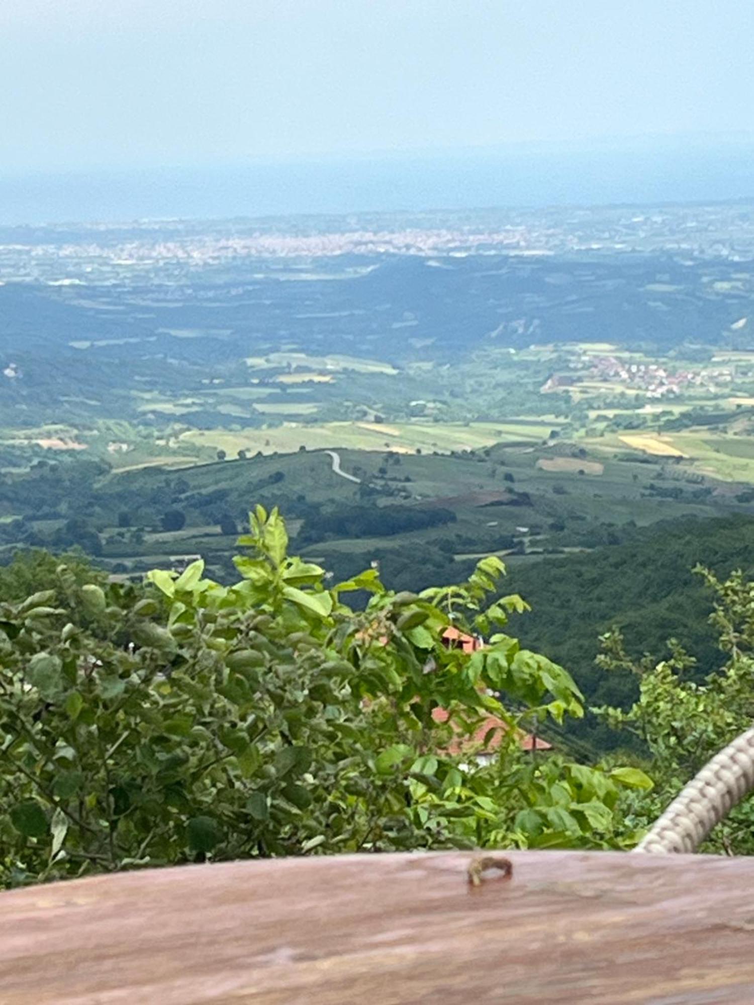 Elatovillage Elatohóri Kültér fotó